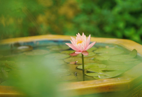 services-02 Services 02 1